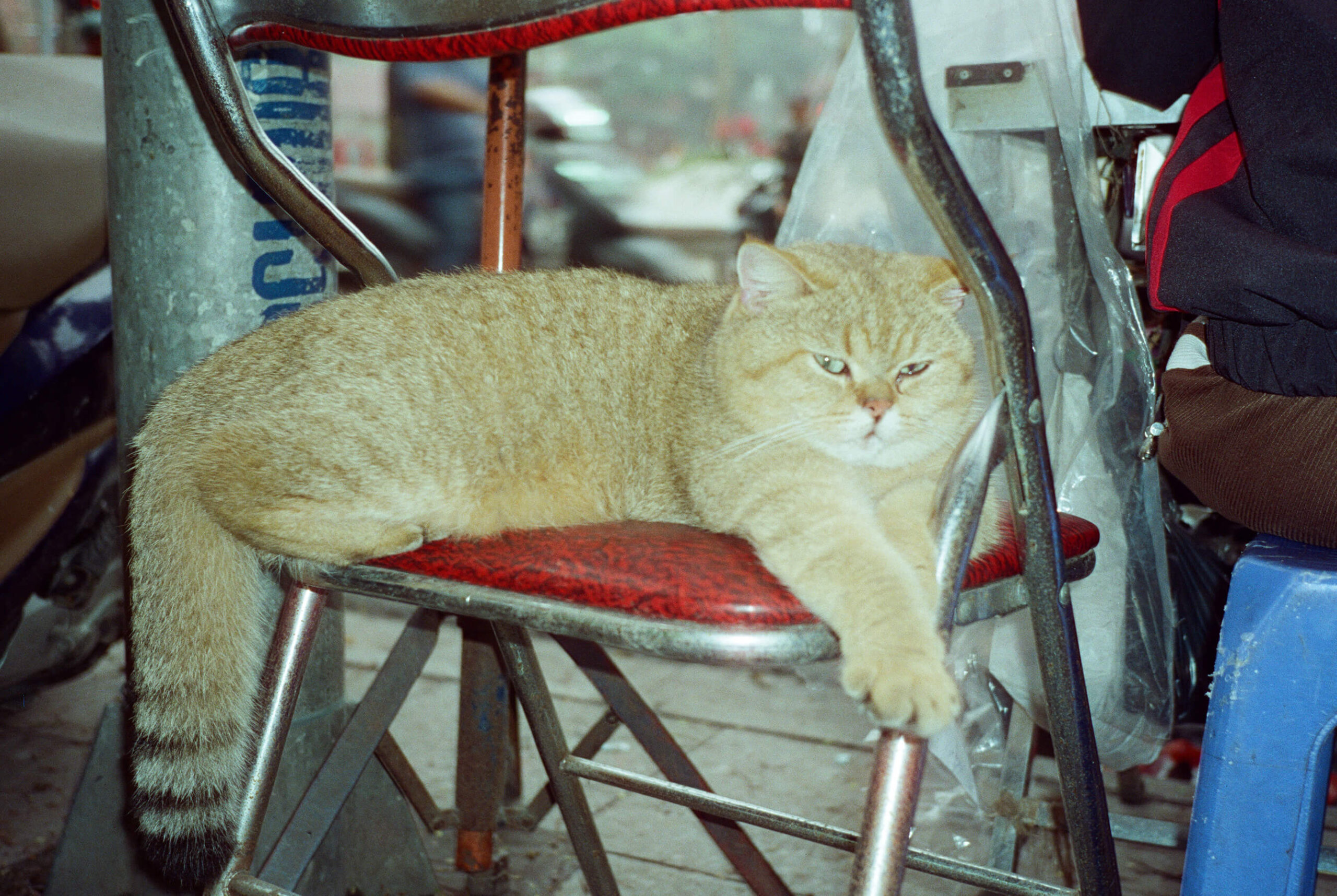 vietnam_05